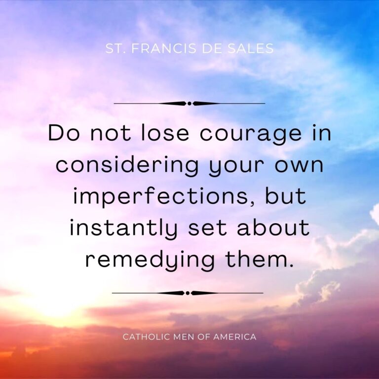 Saint Francis De Sales