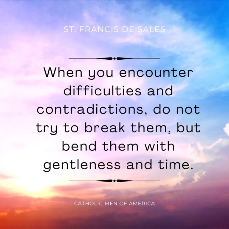 Saint Francis De Sales